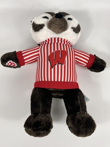 University of Wisconsin Bucky Badger