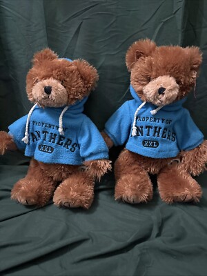 Carolina Panthers Hoodie