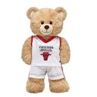Chicago Bulls Uniform 2 pc.