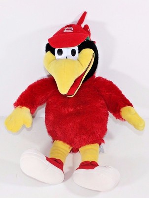 Cardinal Bird