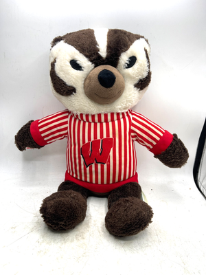 University of Wisconsin T-Shirt