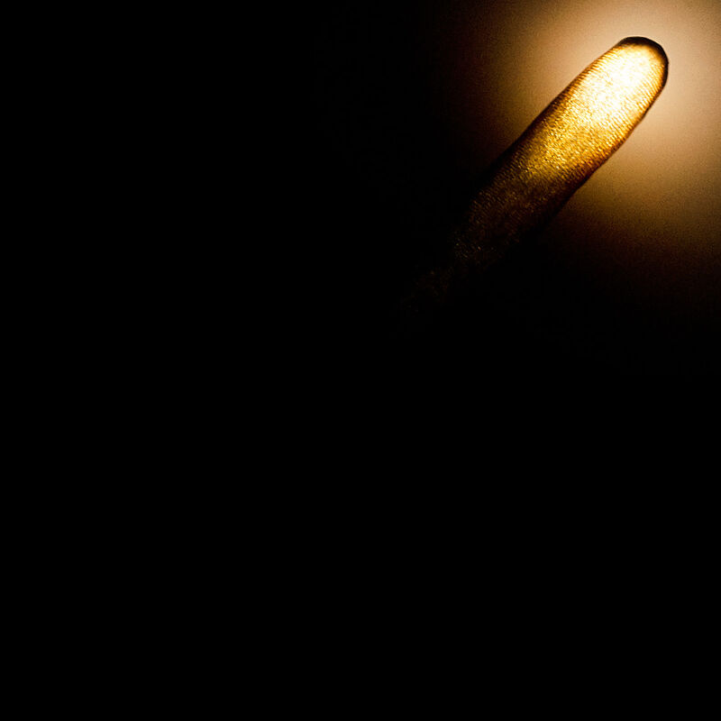 HARRY POTTER Light-Up Wand with Sound - Image 2