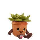 Build-A-Bear Buddies Succulent Gift Set