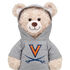 University of Virginia Hoodie