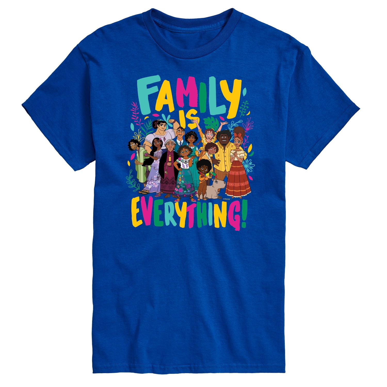 Disney Encanto "Family Is Everything" T-Shirt