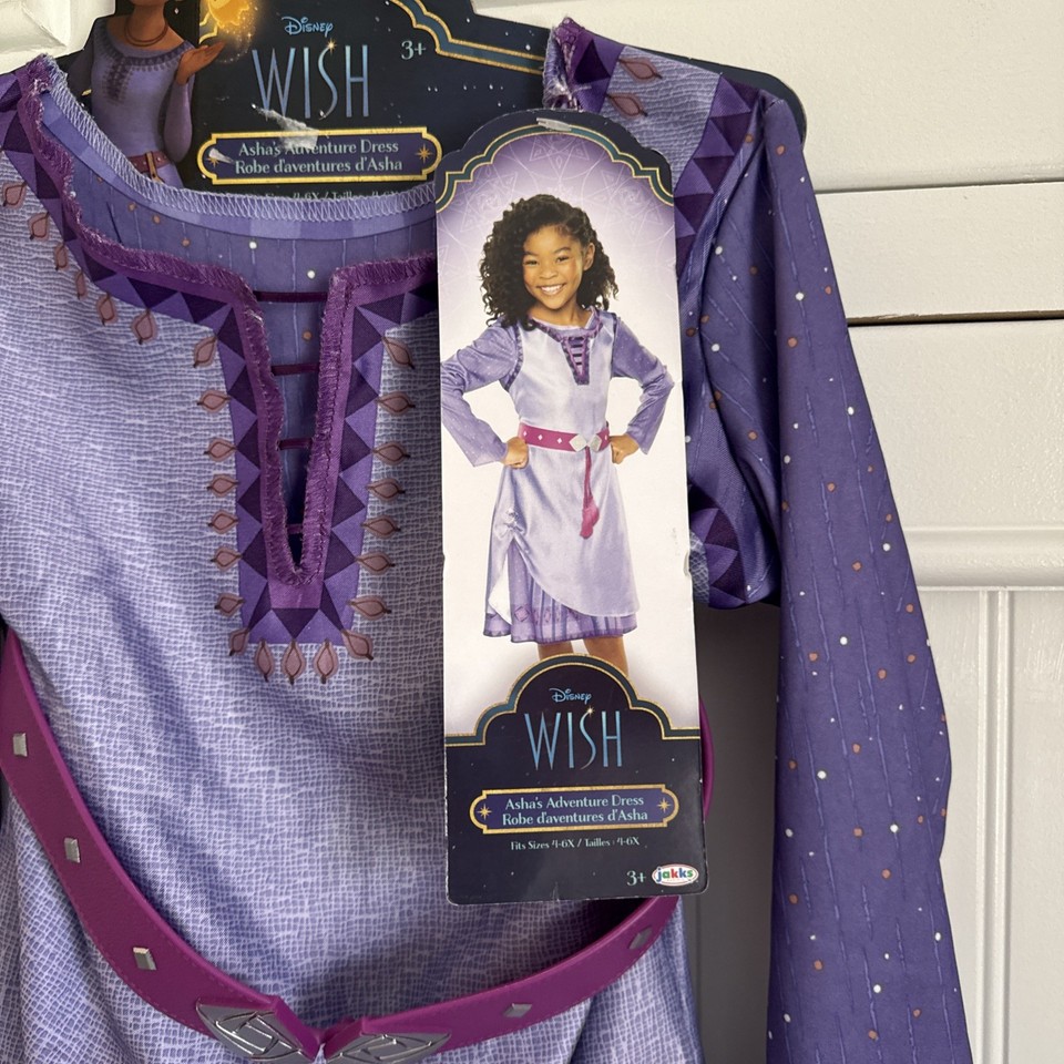 Disney Wish Asha Costume