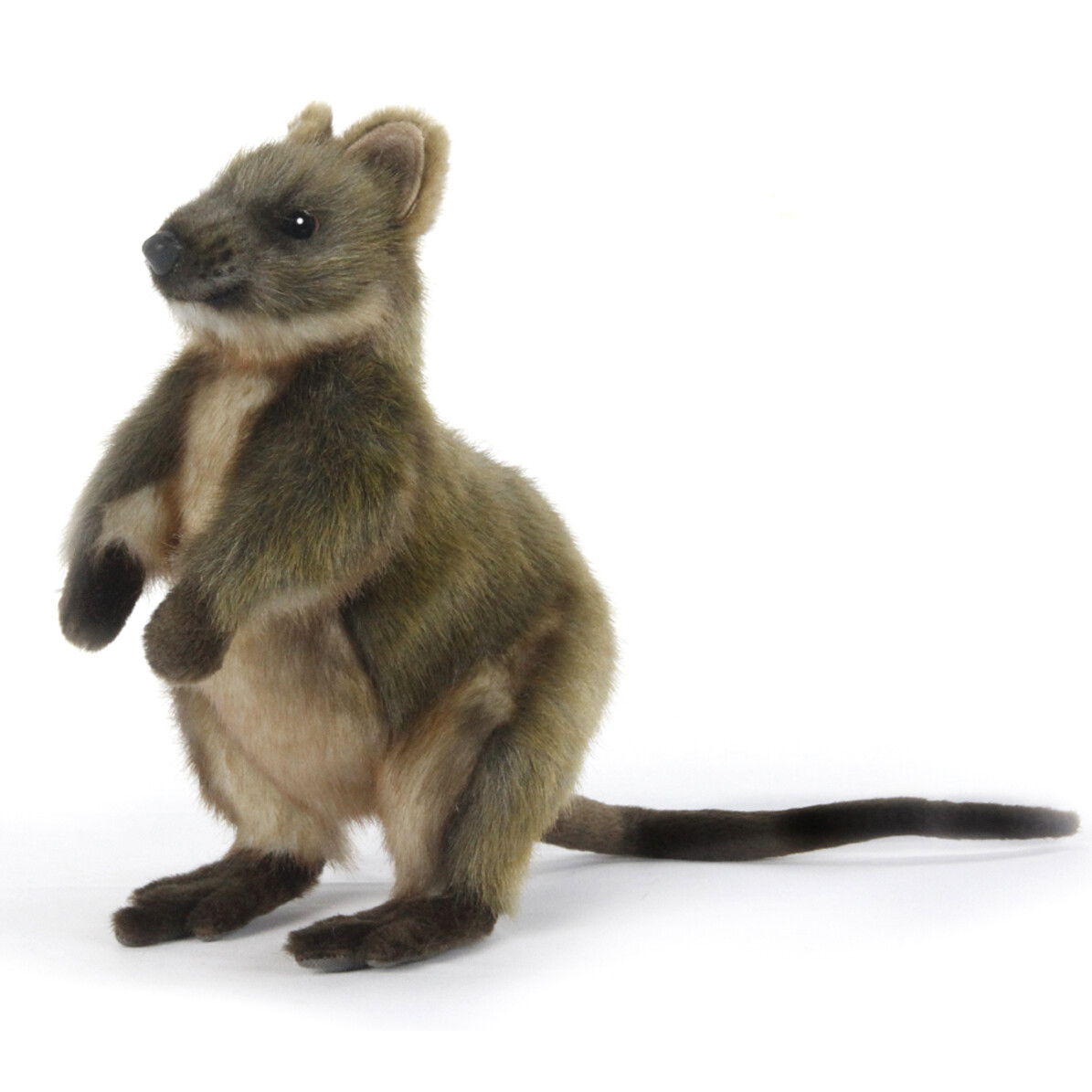 Quokka Stuffed Animal