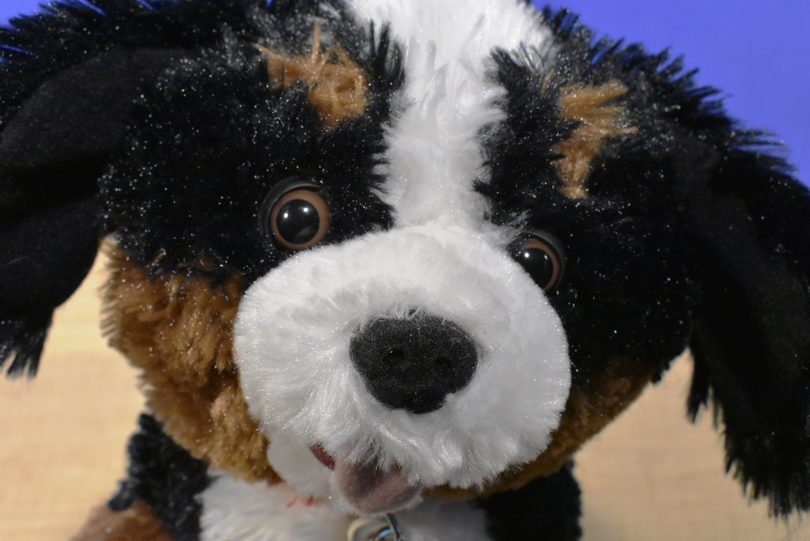 Build-A-Bear Mini Beans Promise Pets Bernese Mountain Dog Stuffed Animal
