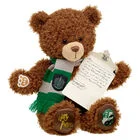 HARRY POTTER SLYTHERIN House Teddy Bear with Scarf and HOGWARTS Acceptance Letter - Image 2
