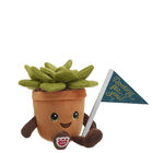 Build-A-Bear Buddies Succulent Plush Gift Set